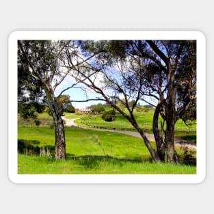 Australian Vineyard Landscape Sticker